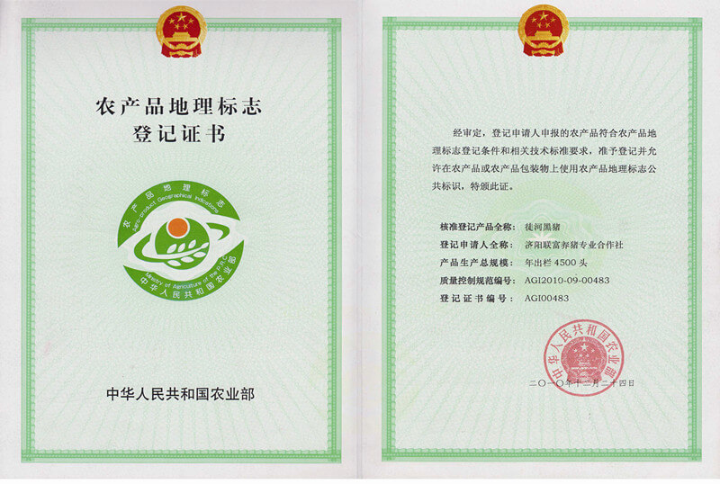 徒河黑猪荣誉