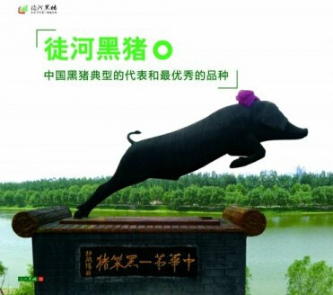 黑猪肉价格