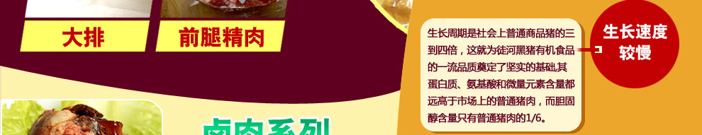 徒河黑猪